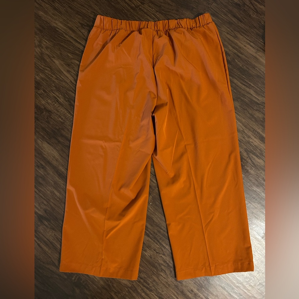Calvin Klein Elastic Waist Trousers in Rust Orange - Picture 4 of 4